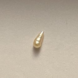 Pearl ( Unicorn Horn )