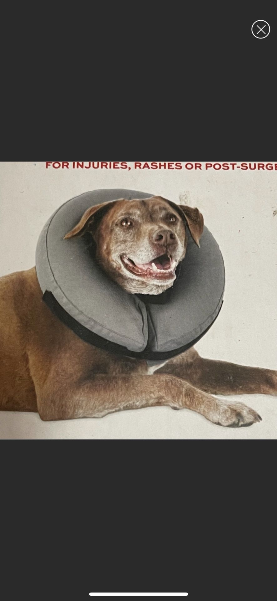 Inflatable Dog Collar 