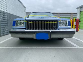 1978-79 Buick Regal Molding