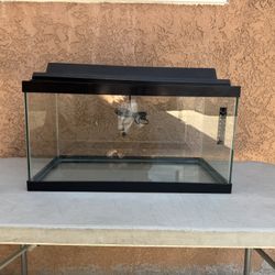 Fish Tank 