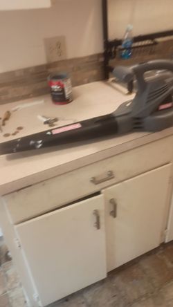 Leaf blower