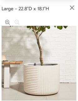 West Elm Planters