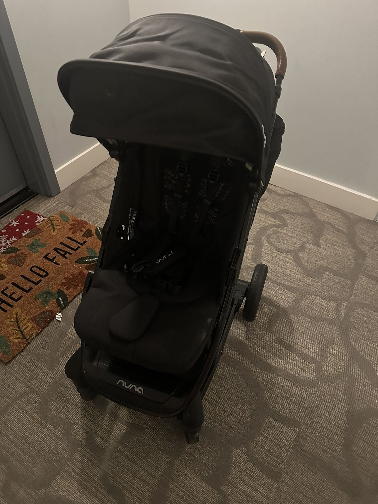 Nuna Stroller