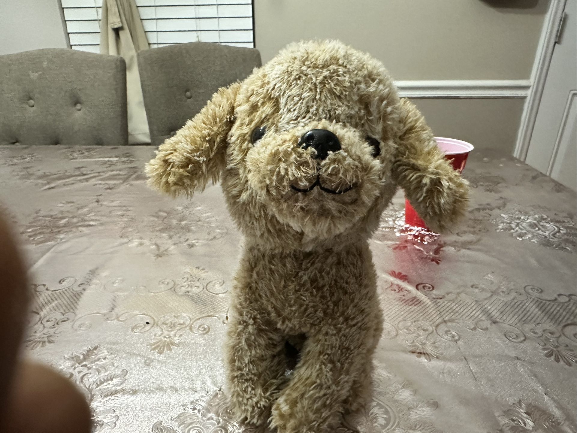 Stuffed Puppy