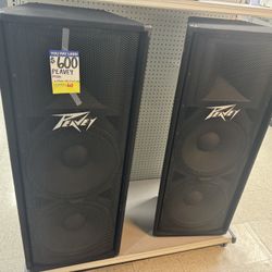 Peavy PV215 Amp Speakers