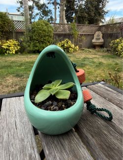 Mint Green Ceramic Hanging Planter with Hand-Grown Succulent