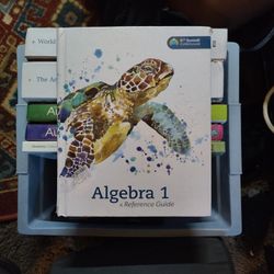 Algebra 1 Educational Book