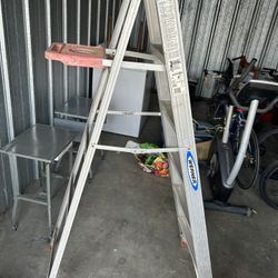6ft Werner Ladder 