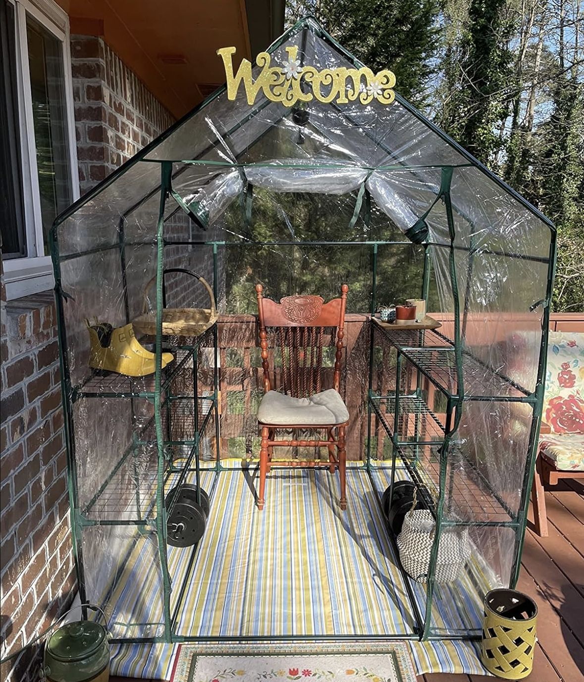 Green House My Plants 