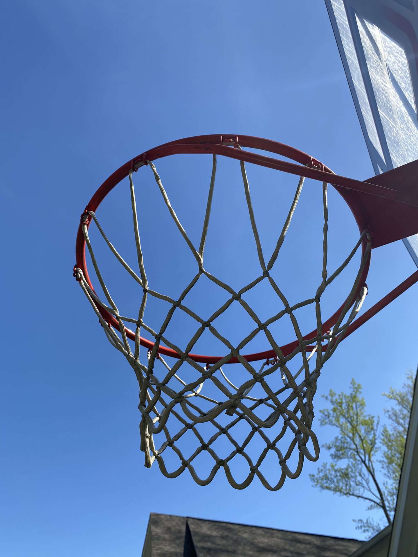 Lifetime Basketball Hoop 50” Portable