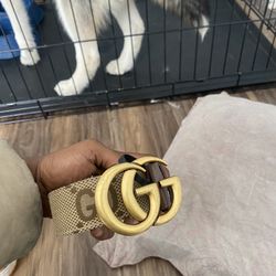 Gucci Belt 