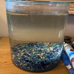 3.5 Gallon Tank with Filter, Air Pump, Substrate, And Decor