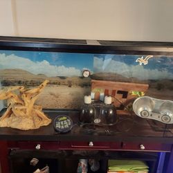 55 Gallon Tank 