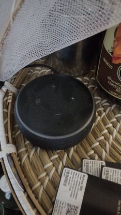 Alexa