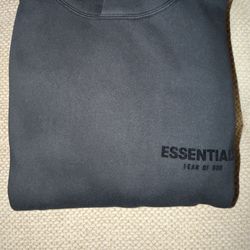 Essentials hoodie
