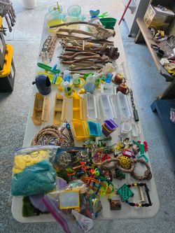 Large Collection of Bird Items