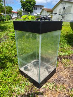 vertical glass column aquariums tank
