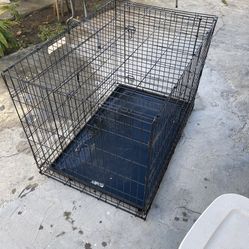 Excellent Condition X-Large Pets Crate