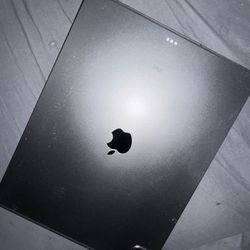 iPad Pro 4th gen 256GB
