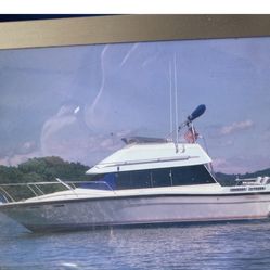 1985 Bayliner Contessa