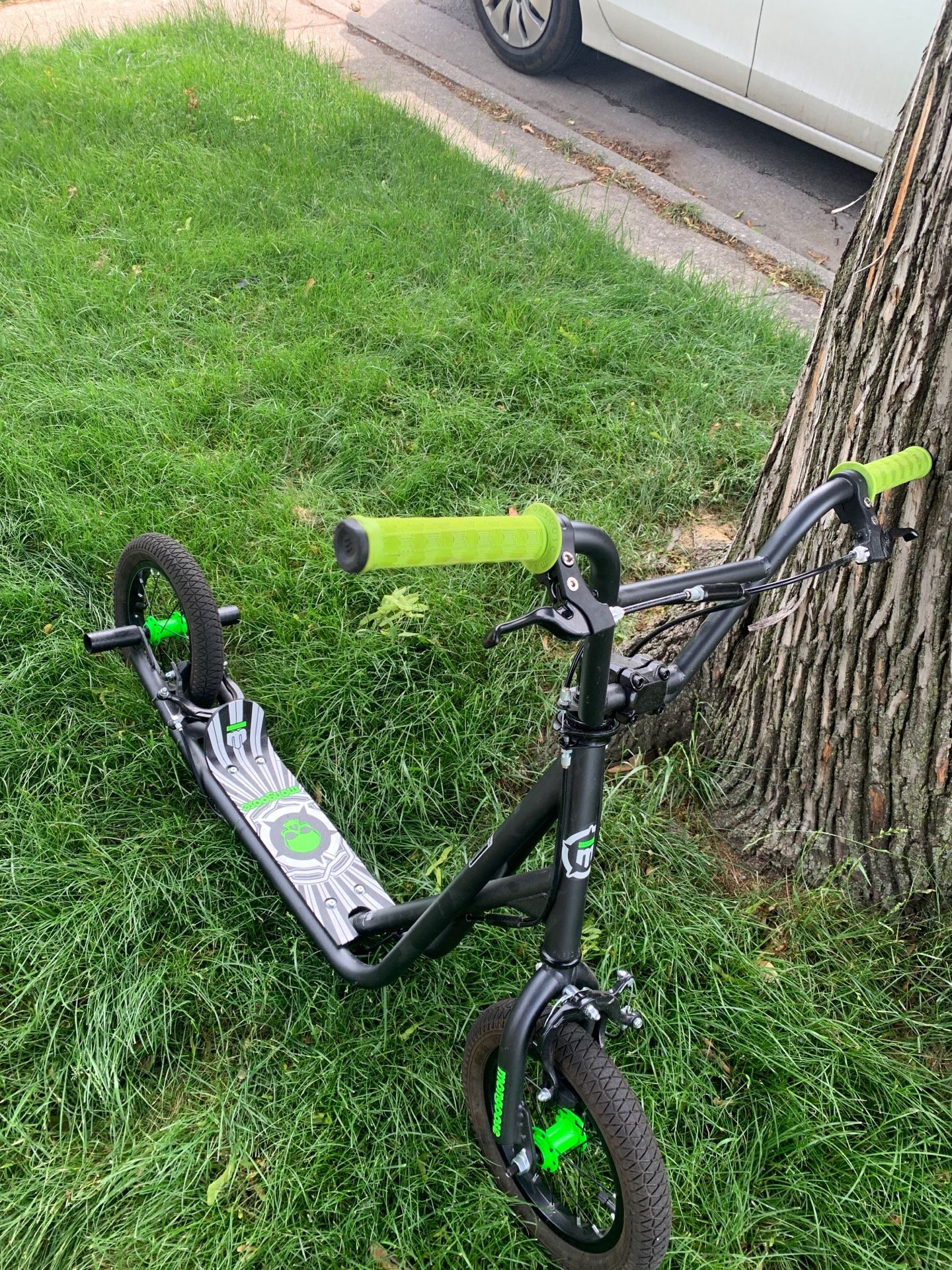 Mongoose scooter