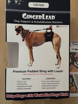 GingerLead Dog Support and Rehabilitation Harness