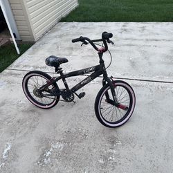 1 Adult And 1 Kid bike