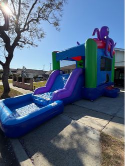 Octopus  water🐙Slide