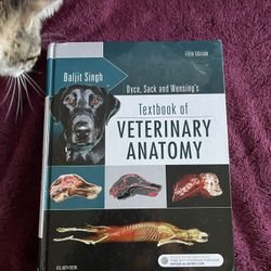 Veterinary Book Anatomy College