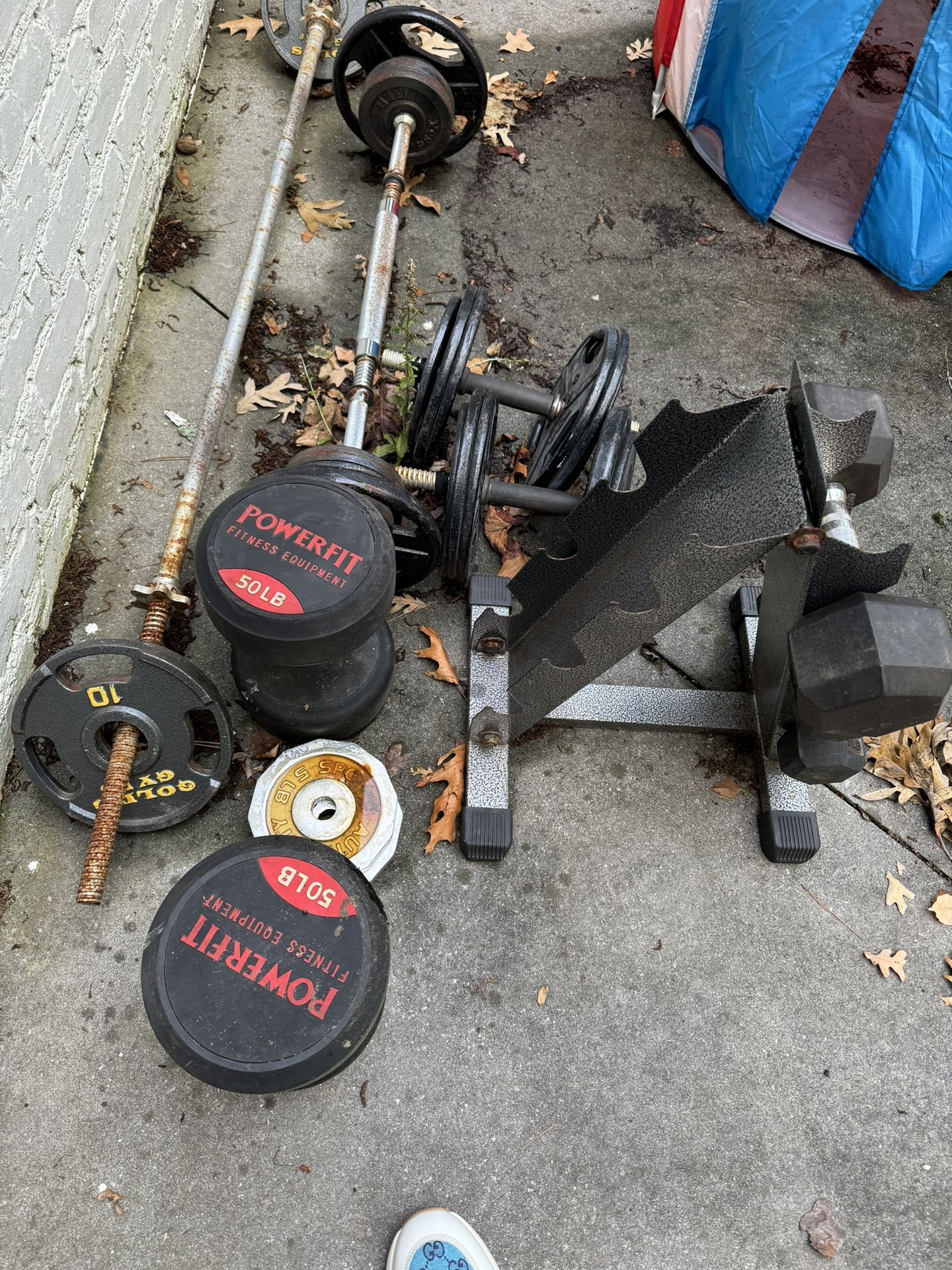 All Size Weights and Dumbbells For $120 Cash. Everything in the pictures.