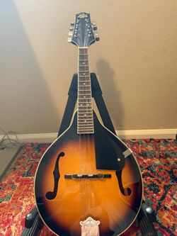 Rogue mandolin rm-100a
