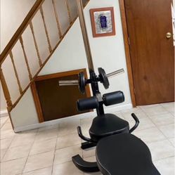 Powertec Lat Tower & free power tower $150 Firm 