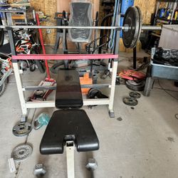 Weight Bench And Assorted Weights