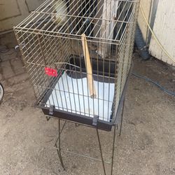 bird cage 25$