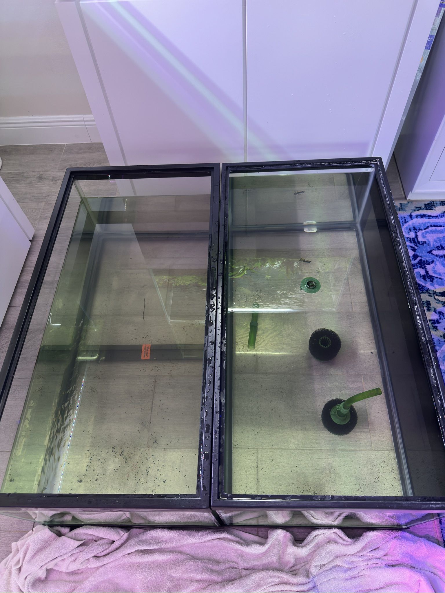 Fish Tank