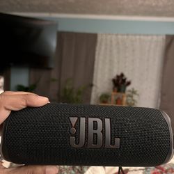 JBL Flip 6