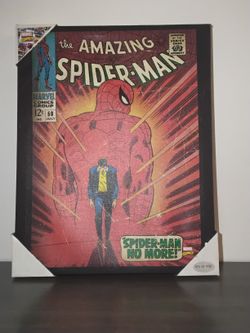 Cuadro De El  Hombre Araña / Spider-Man Painting