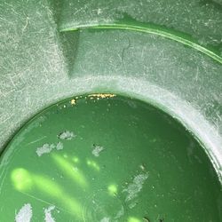 Gold Panning Lessons 