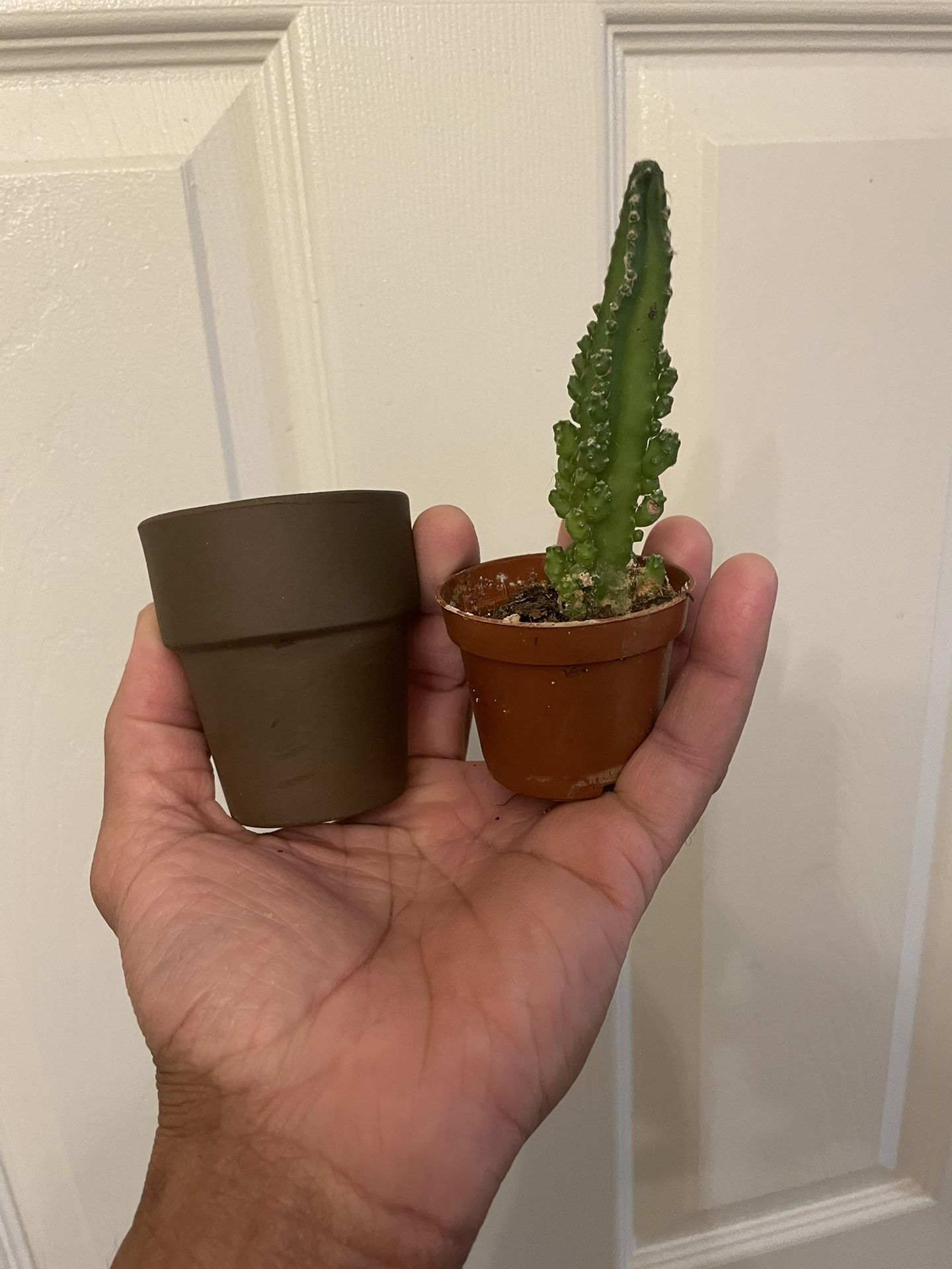 30 Cents Each | Cutest Teeny Tiny Clay Pots | Cache Pots