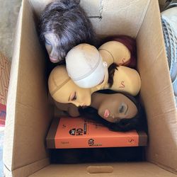 Wig Mannequin Heads And Wigs