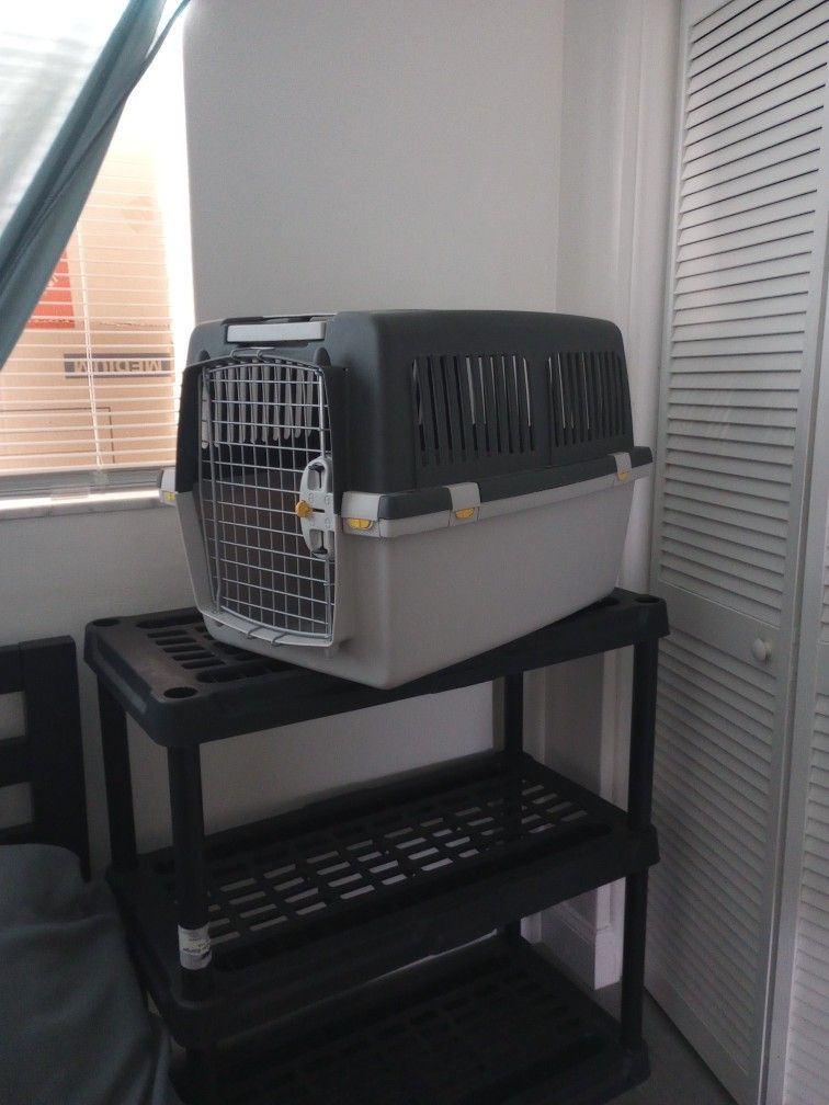 Dog and Cat Kennel Pet Carrier & Crate 