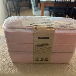 Pink Bento Box