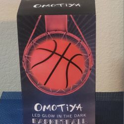 BRAND NEW BASKETBALL 💡