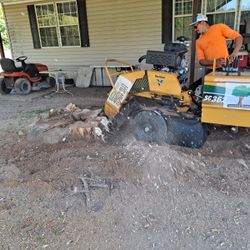STUMP GRINDING