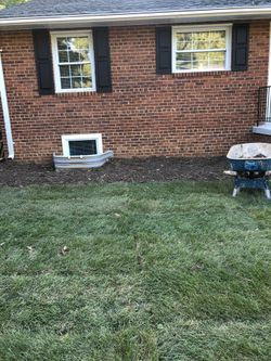 Fresh Sod