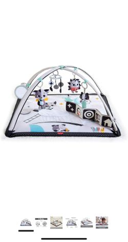 Play Mat Gym