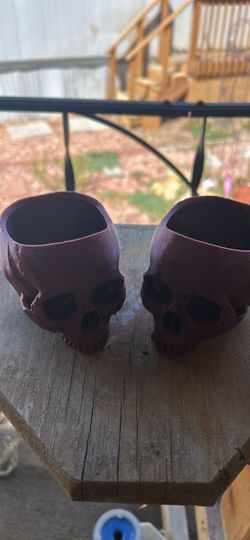 Set of 2 3D Printed Skull Planters 2.5x3”