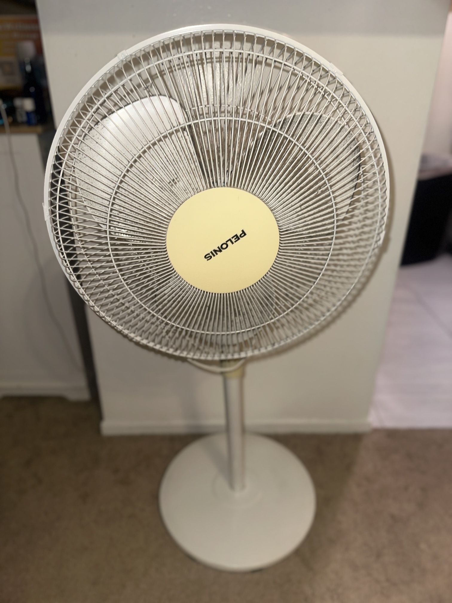 Standing Fan 