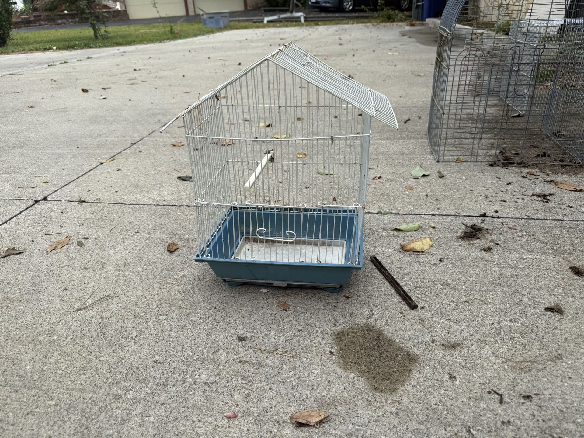 Birds Cage