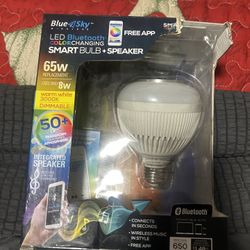 Cover, Changing Bluetooth Light Bulb, And Speaker